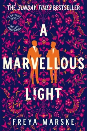 A Marvellous Light : a dazzling, queer romantic fantasy