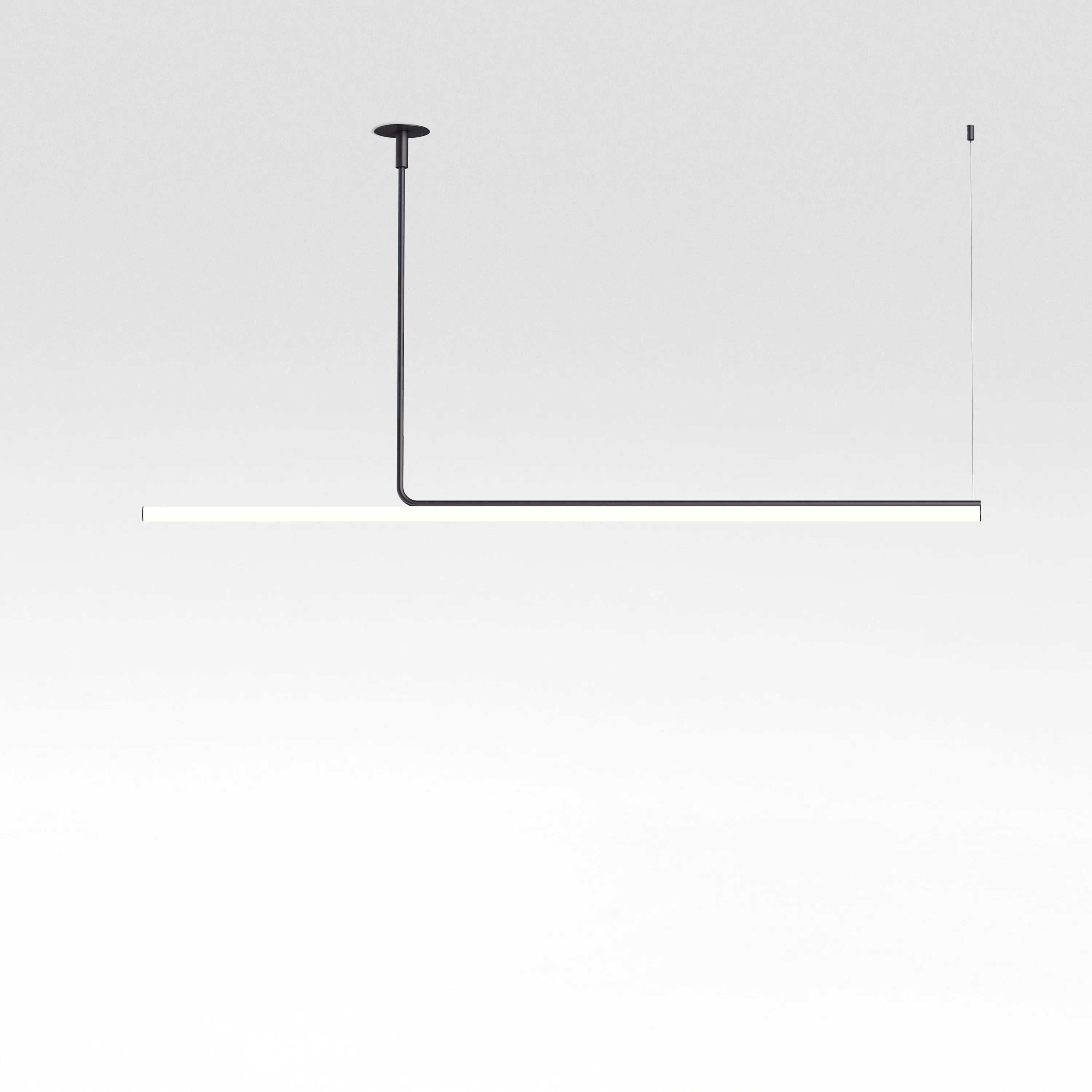 Ambrosia Suspension Light