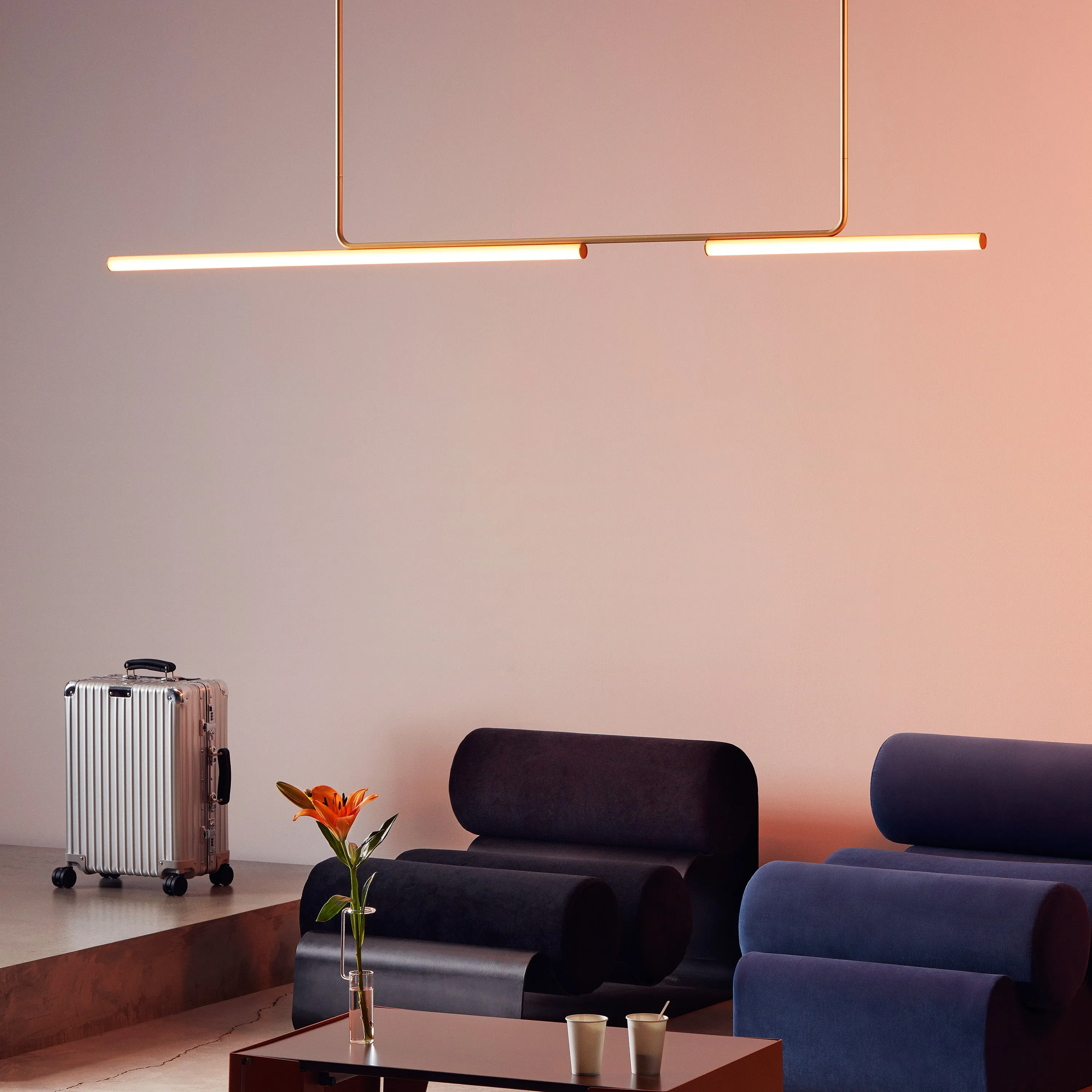 Ambrosia Suspension Light