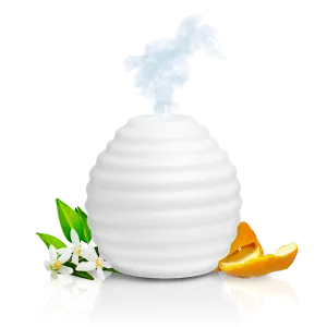 API Ultrasonic Humidifier Diffuser