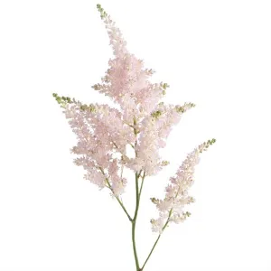 Astilbe Light Pink