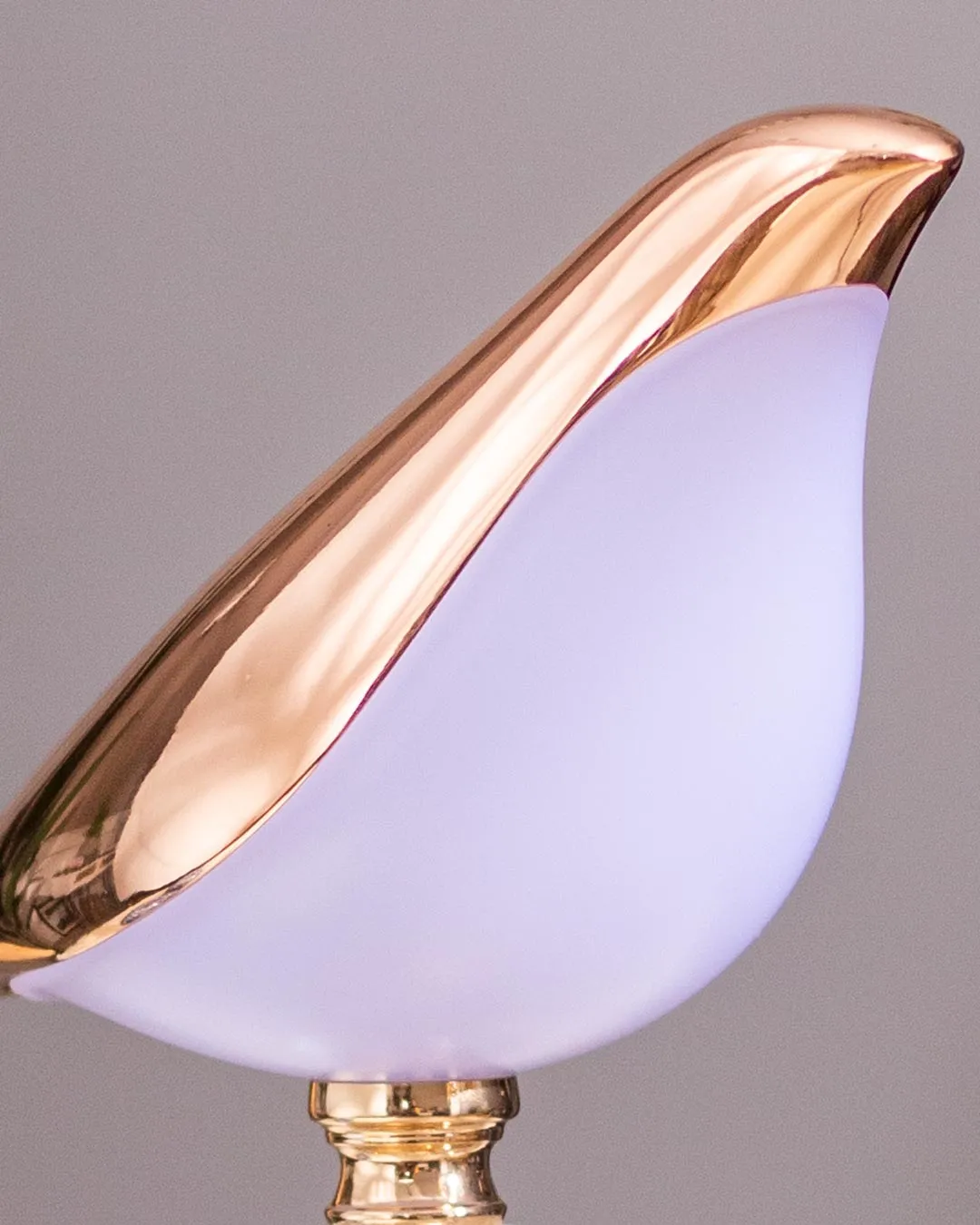 Aves Bird Ambient Desk Lamp