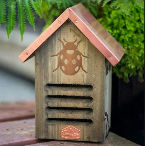 Copper Roof Insect House