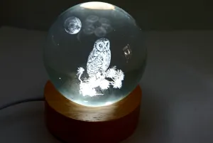 Medium Owl under the Moon 3D Print Glass Globe