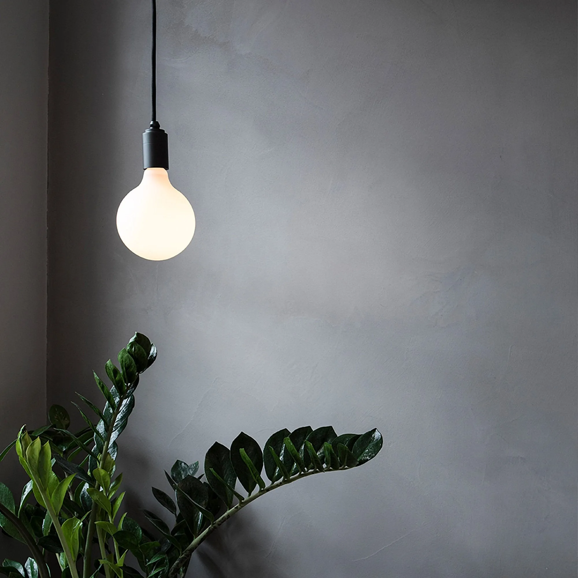 Porcelain III Bulb