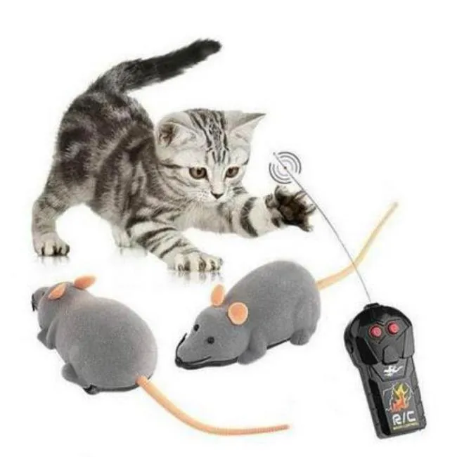 The Mouse R/C Toy