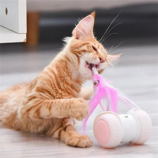 Wheelie Interactive Cat Toy